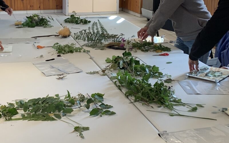 composition-vegetale-2jpg##composition végétale##Nature Au Coeur##