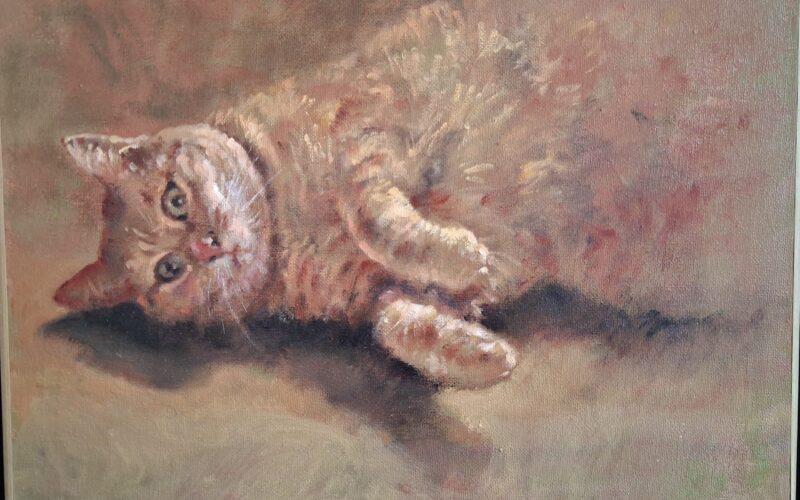 20260505-151716jpg##David Garcia##Marie Laure Robin Garcia ## 20260505-151716jpg##David Garcia##Marie Laure Robin Garcia ##