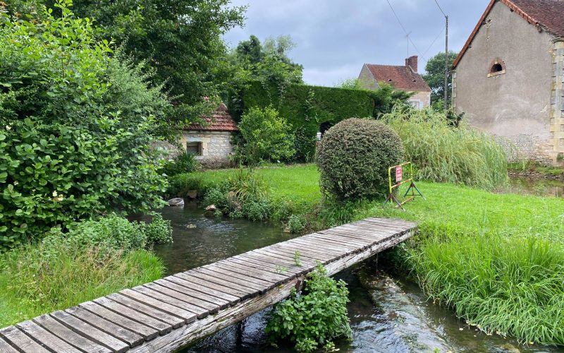 beaumont-la-ferriere-juillet-21-credits-charlene-jorandon-12jpg##Beaumont-la-Ferrière##Charlène Jorandon##