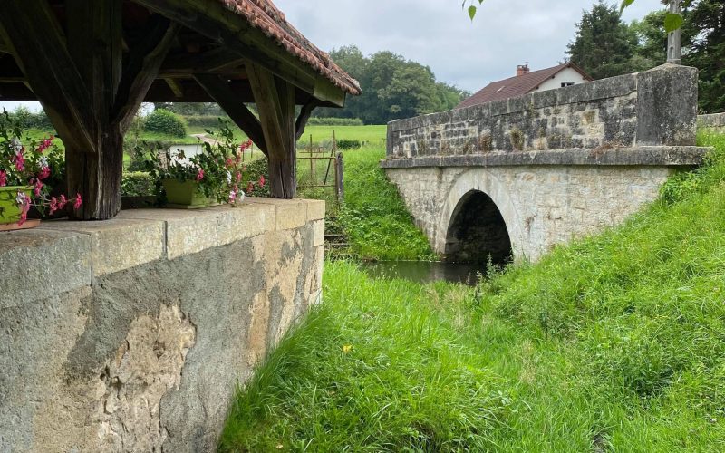 beaumont-la-ferriere-juillet-21-credits-charlene-jorandon-21jpg##Beaumont-la-Ferrière##Charlène Jorandon##